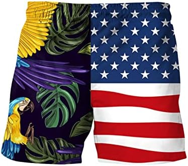 SAD 4. srpnja muški kratke hlače Ležerne prilike za navlakač Patriotska američka zastava Štampano šetnju ljetna odjeća sa džepovima