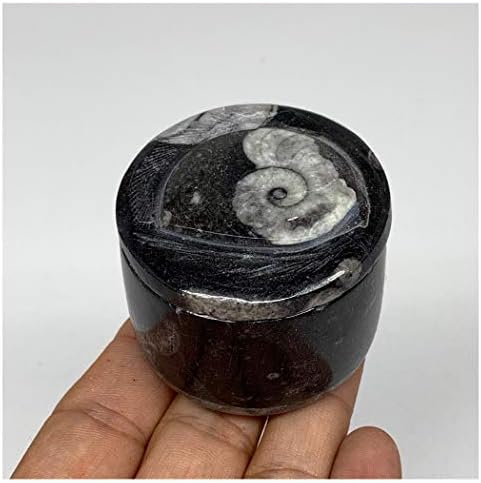 WatanGems 129.5 grama, 1.6 x 2 Crna fosilna Ortoceras kutija za nakit okruglog oblika polirana ručno rađena iz Maroka, minerala, uzoraka,