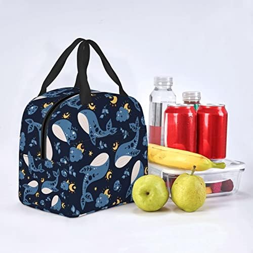 AFHYZY Shark 6 torba za ručak žene male torbe za hlađenje izolovana kutija za ručak za tinejdžerke Muška kutija za ručak za rad Cooler