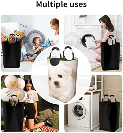Slatka Malteška štenad 50L kvadratna torba za prljavu odjeću sklopiva / sa ručkom za nošenje / pogodna za putovanja u kućni ormar u kupaonici