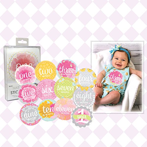 Stephan Baby My First Year monthly Sticker Photo-Op Set za djevojčice, one Size, 395007