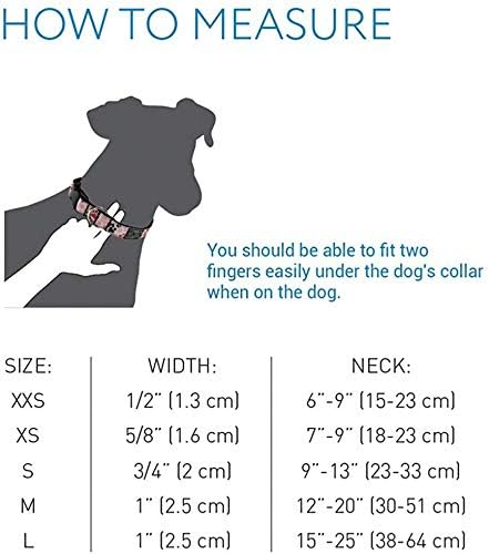 RC kućni ljubimci 1 inčni podesivi ogrlica za pse, srednja, limunada