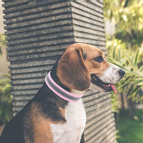 Abrlo kožni ogrlice za pse za male srednje pse dječake Djevojke Reflektirajuće prilagodljive kućne ljubimce (ružičaste, m)