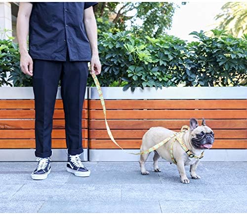 Ichoue crtani ispisani pas za kabel za pse Pozicija ne postavljajući korak u podesivoj kopči za mali srednje velike - kivi voće l